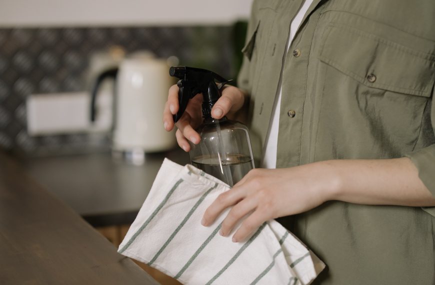The Powerful Duo of Vinegar and Baking Soda: Nature-Friendly Allies in the World of Sustainable Living