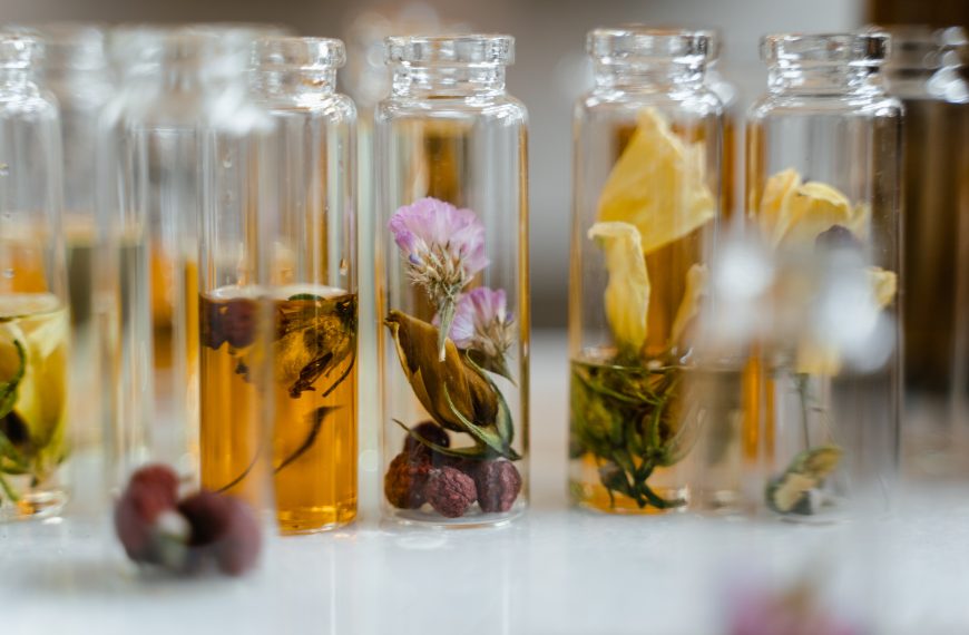 The Irresistible Allure of Natural Fragrances in the World of Organic Living; Embarking on a Journey towards Wellbeing