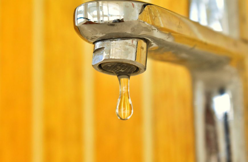 Embracing a Lifestyle: The Essence…