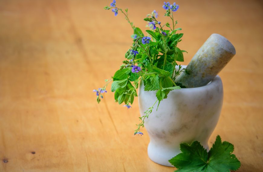 Herbal Remedies: Embracing the Power of Nature for a Balanced and Healthy Lifestyle