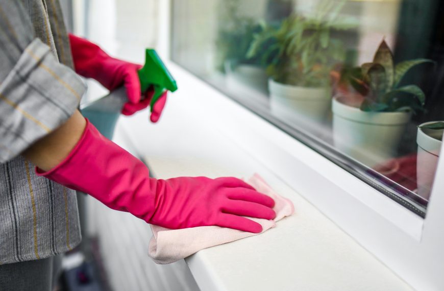 Embracing a Natural Lifestyle: The Role of Cleaning Products in Promoting a Healthier Home