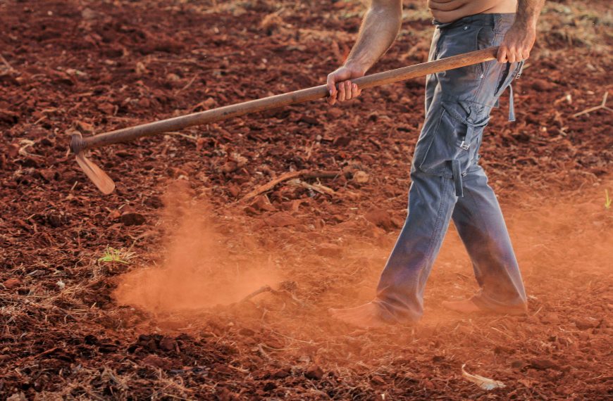 Environmental Sustainability in Organic Living