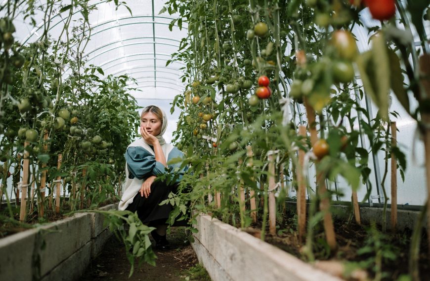 A Guide, for Beginners to Get Started with Creating Your Organic Garden at Home