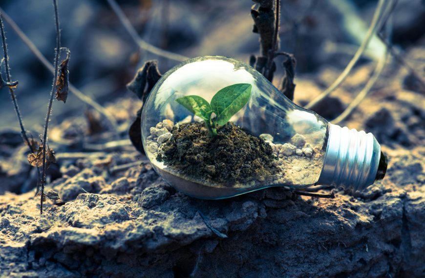 Green Energy Home Solutions: Enhancing a More Sustainable Home
